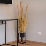 בית נופש Haus Weitblick *